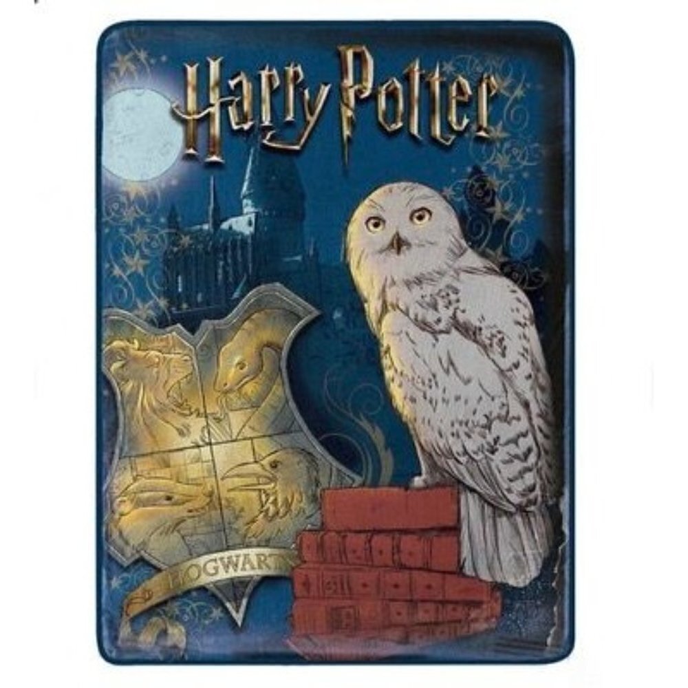 Spirit Halloween Harry Potter Magical World Fleece Blanket